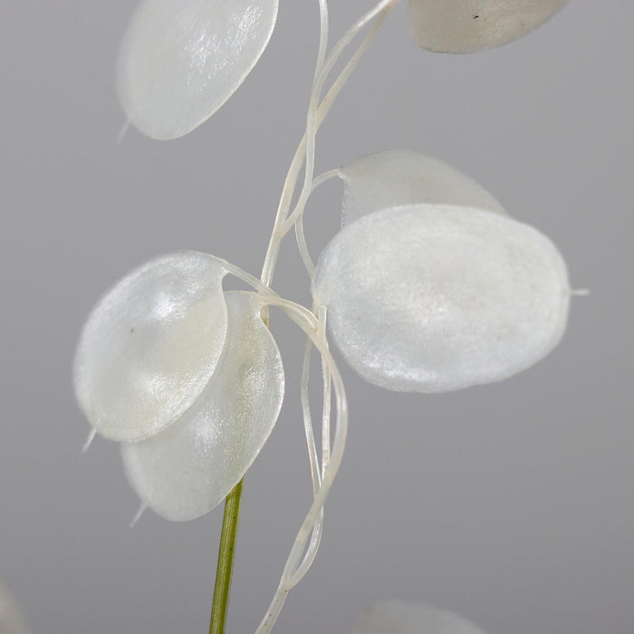 Ramo Artificiale Moneta Del Papa 71Cm