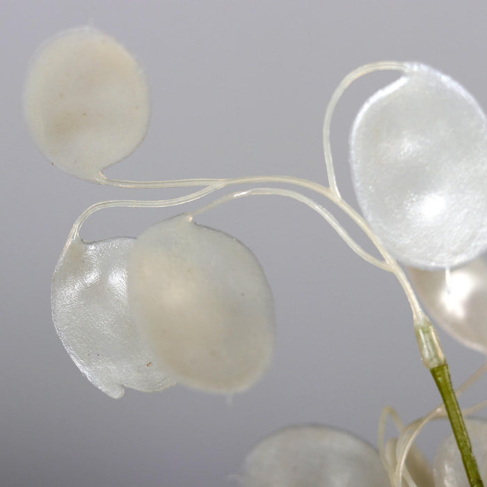 Ramo Artificiale Moneta Del Papa 71Cm