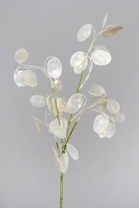 Ramo Artificiale Moneta Del Papa 71Cm