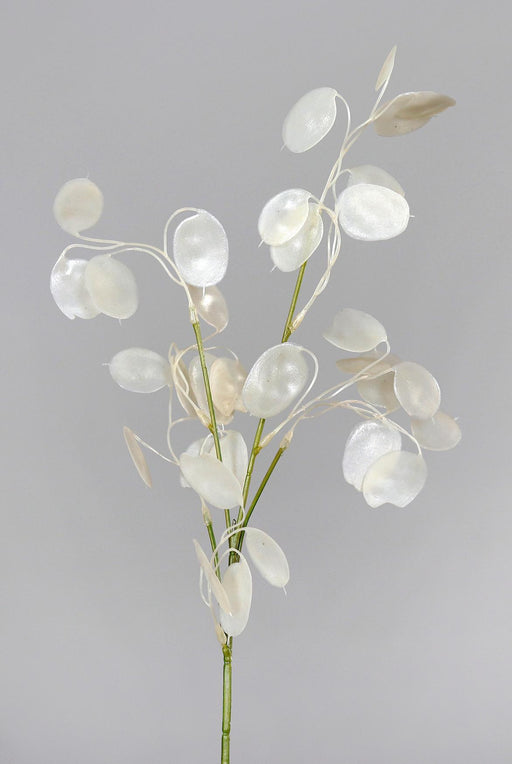 Ramo Artificiale Moneta Del Papa 71Cm