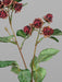 Decorazione Floreale Artificiale Con Ramo Di Mora Rossa 44 Cm