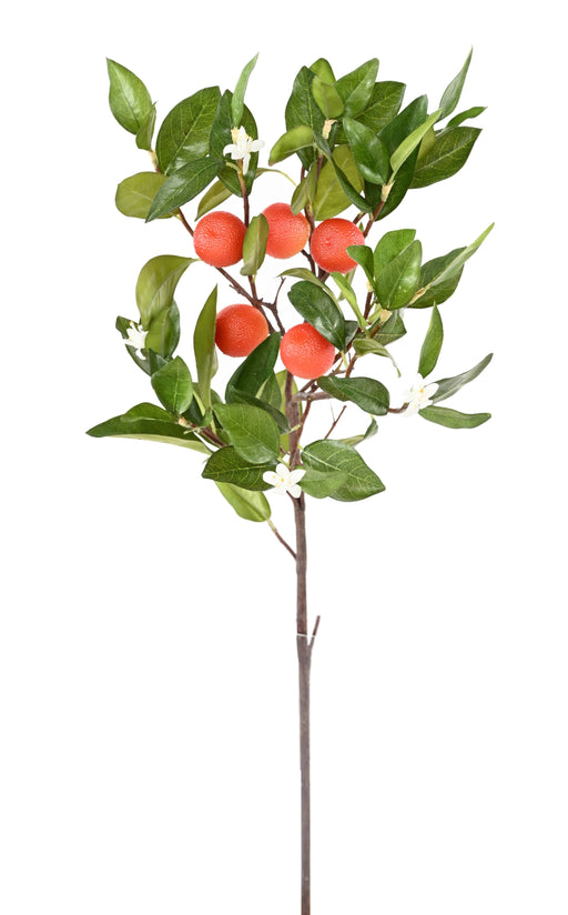 Ramo Di Arancio Artificiale Con Fiori E Frutti