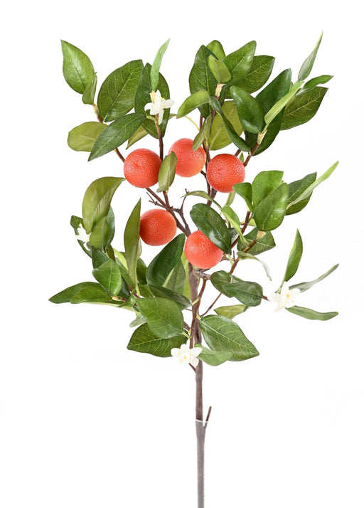 Ramo Di Arancio Artificiale Con Fiori E Frutti