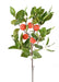 Ramo Di Arancio Artificiale Con Fiori E Frutti