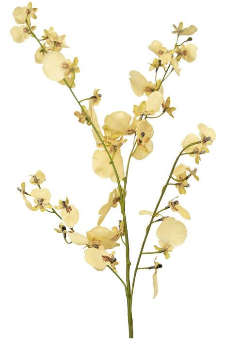 Ramo Di Orchidea Beige Artificiale