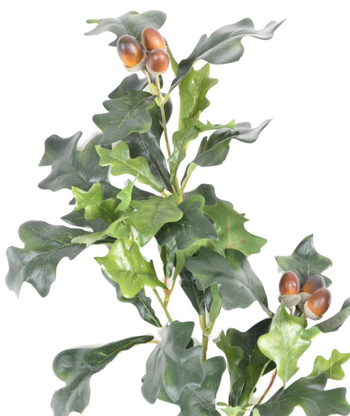 Ramo Di Quercia Artigianale Con 6 Ghiande 70 Cm