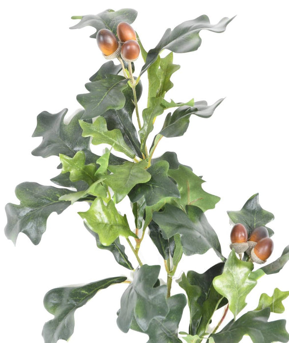 Ramo Di Quercia Artigianale Con 6 Ghiande 70 Cm