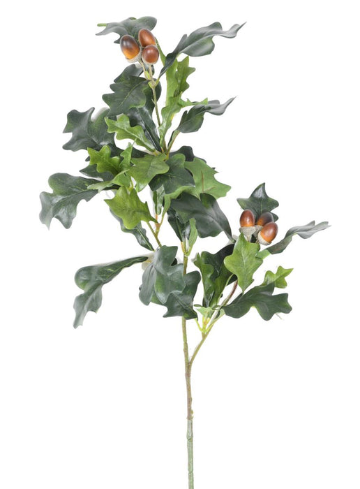 Ramo Di Quercia Artigianale Con 6 Ghiande 70 Cm