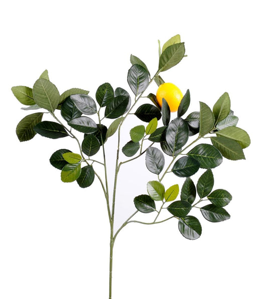 Ramo Di Albero Di Limone Artificiale 60 Cm Con Frutta