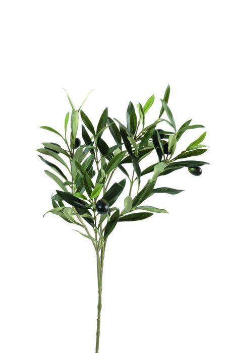 Ramo Di Ulivo Artificiale H.55 Cm