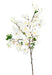 Ramo Di Ciliegio Artificiale Fiori Bianchi 105 Cm