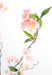 Ramo Di Ciliegio Artificiale Rosa Chiaro 76 Fiori