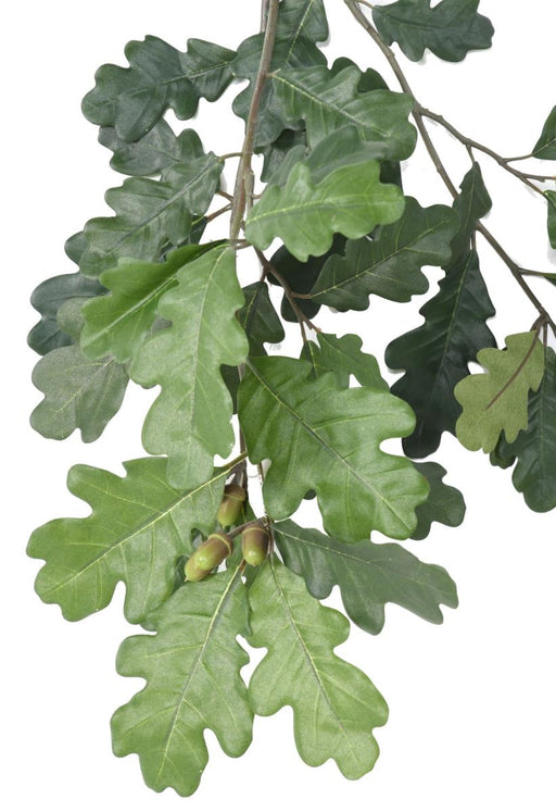 Ramo Di Quercia Artificiale 38 Foglie 60 Cm Verde