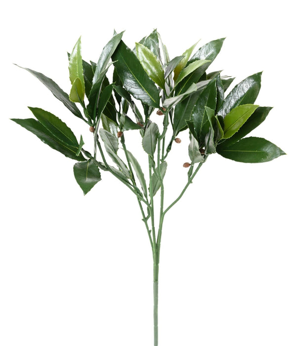 Ramo Di Alloro Artificiale Anti-Uv 50Cm Verde