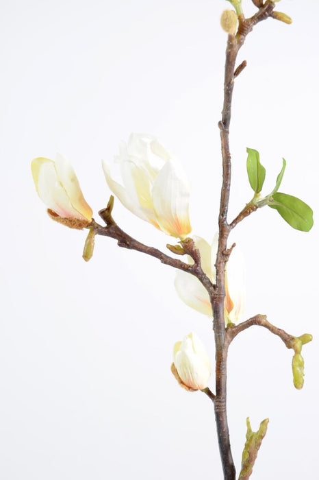 Ramo Di Magnolia Artificiale 83 Cm Bianco