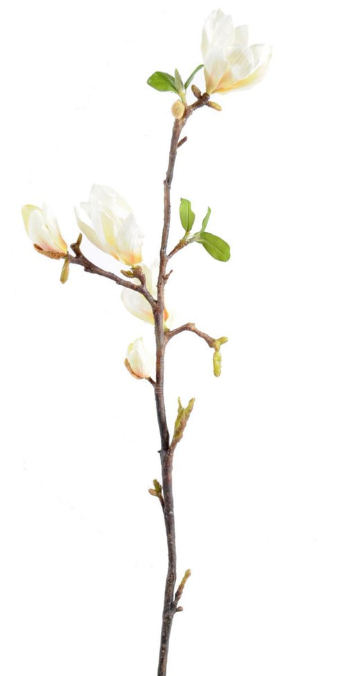 Ramo Di Magnolia Artificiale 83 Cm Bianco