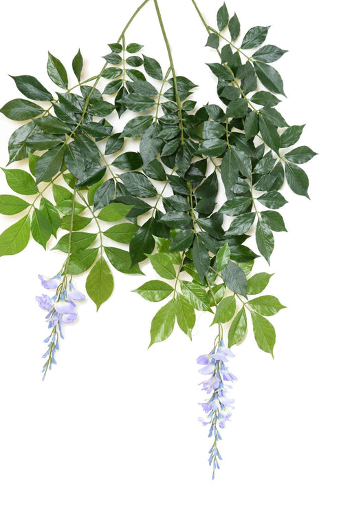 Ramo Di Glicine Artificiale Lavanda 100Cm
