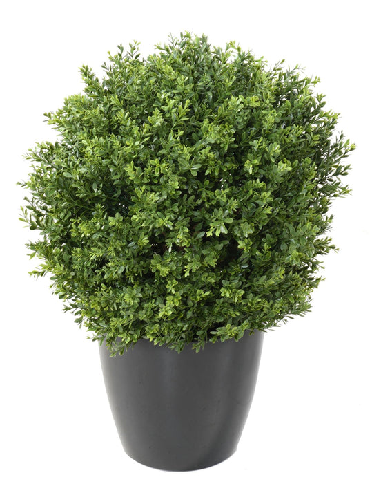 Sfera UV In Legno Di Bosso Artificiale 65Cm Per Esterni