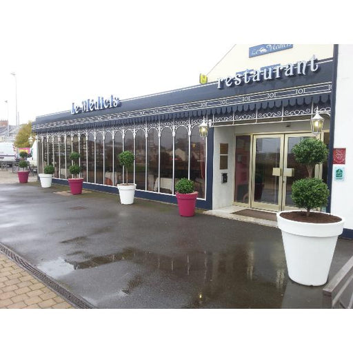 Sfera Con Stelo In Legno Di Bosso Artificiale Da 170 Cm Per Esterni