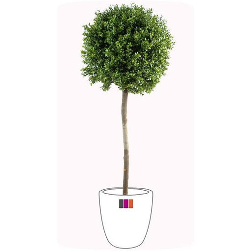 Sfera Con Stelo In Legno Di Bosso Artificiale Da 170 Cm Per Esterni