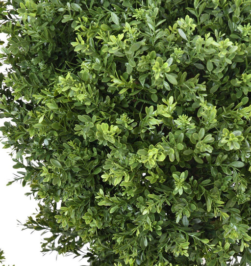Topiaria In Legno Di Bosso Artificiale Uv Per Giardino H82Cm Verde