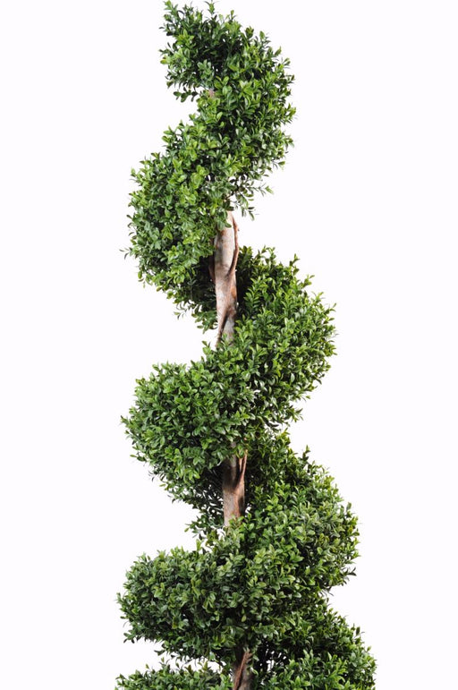 Bosso Artificiale A Spirale 140 Cm Per Interni Ed Esterni