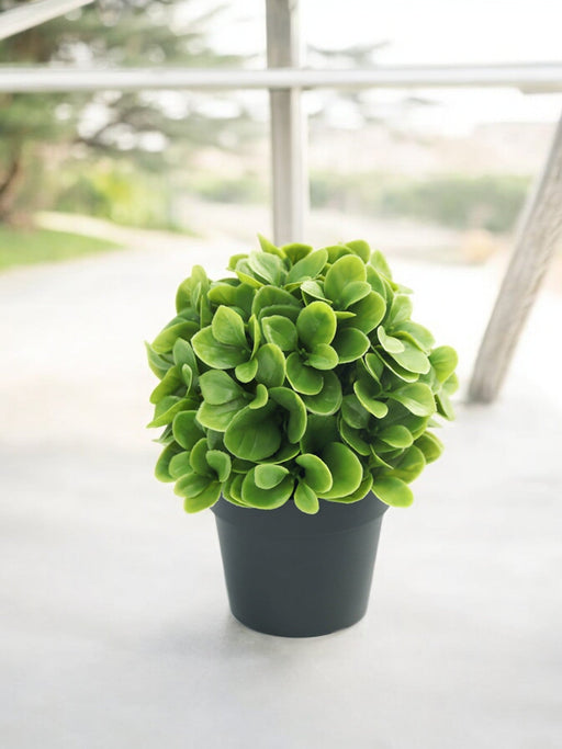 Bosso Cinese - Pianta Artificiale Da Esterno In Vaso