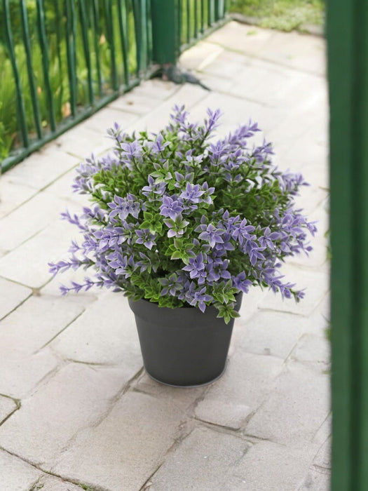 Bosso Viola In Vaso - Bosso Artificiale