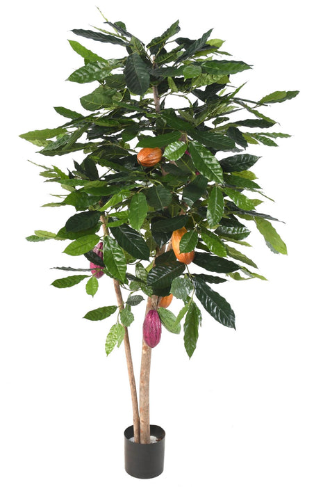 Albero Di Cacao Artificiale Con Frutti Per La Decorazione D'interni