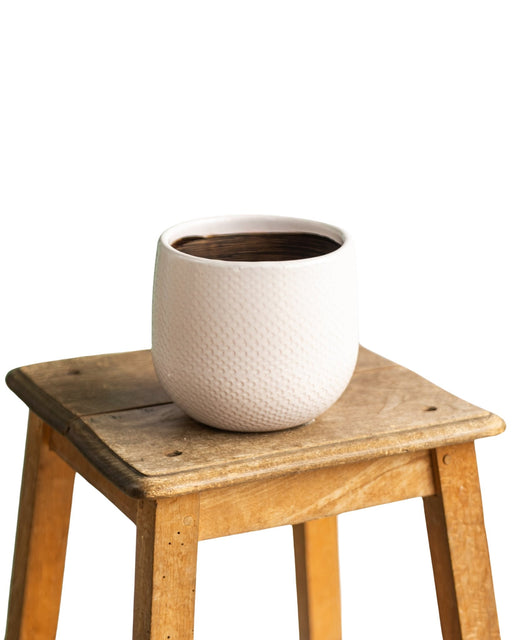 Vaso Per Piante Bari Bianco