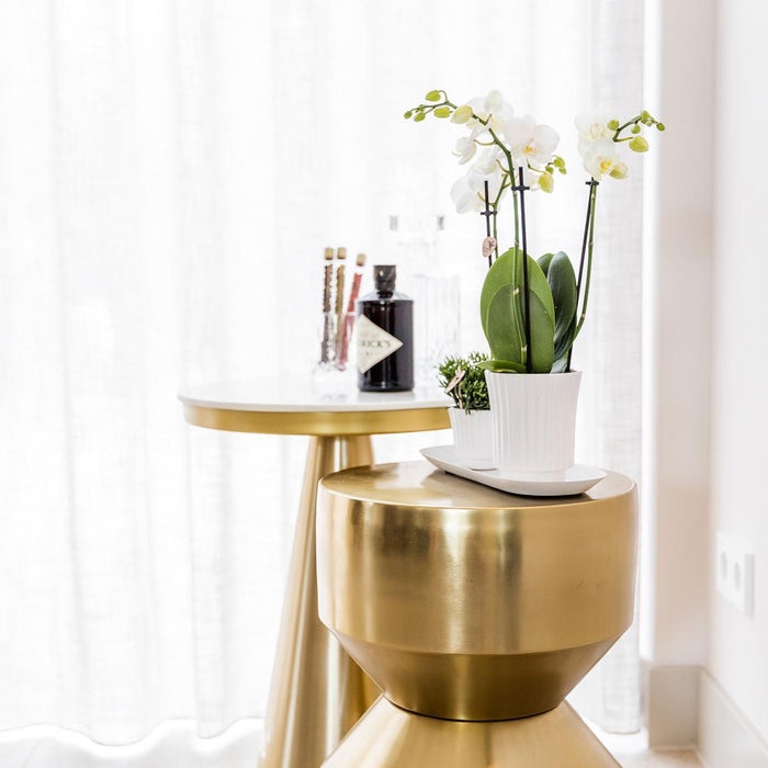 Vaso Per Piante Bianco - Ø6Cm