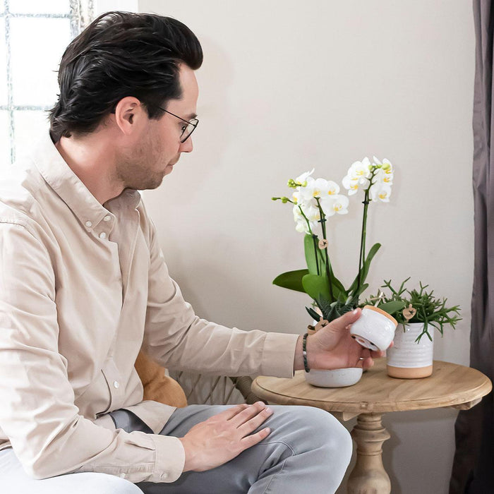 Vaso Per Piante In Ceramica Bianca - Ø9Cm