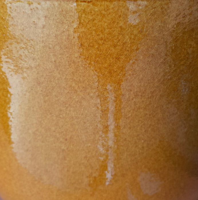 Vaso Per Piante In Ceramica Senape Ø27Xh29Cm