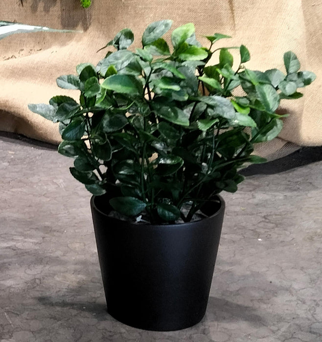 Vaso Per Piante In Ceramica Nera Da 13,5 Cm Per Interni Ed Esterni