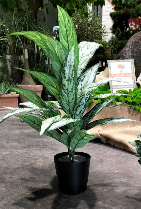 Coprivaso In Ceramica Nera 15,5 Cm Per Piante