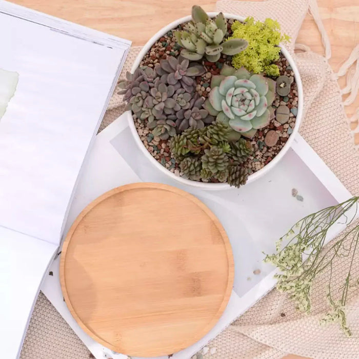 Fioriera In Ceramica Rundo