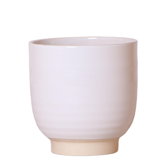 Vaso Per Piante In Ceramica Bianca - Ø12Cm