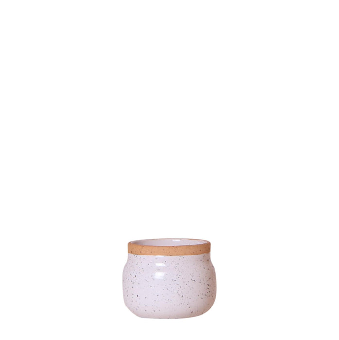 Vaso Per Piante In Ceramica Bianca - Ø6Cm