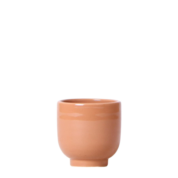 Vaso Per Piante In Ceramica Ocra - Ø6Cm