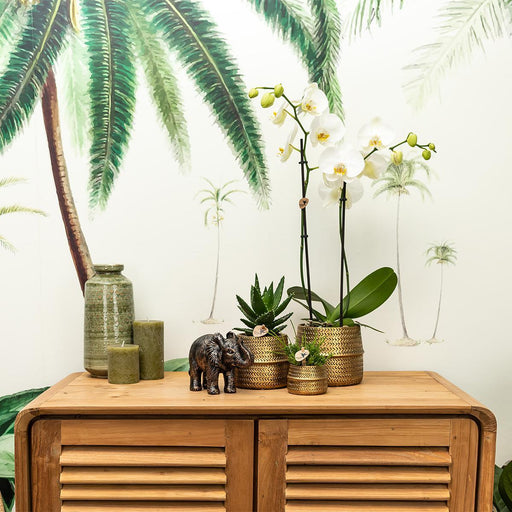 Vaso Per Piante In Metallo - Ø12Cm