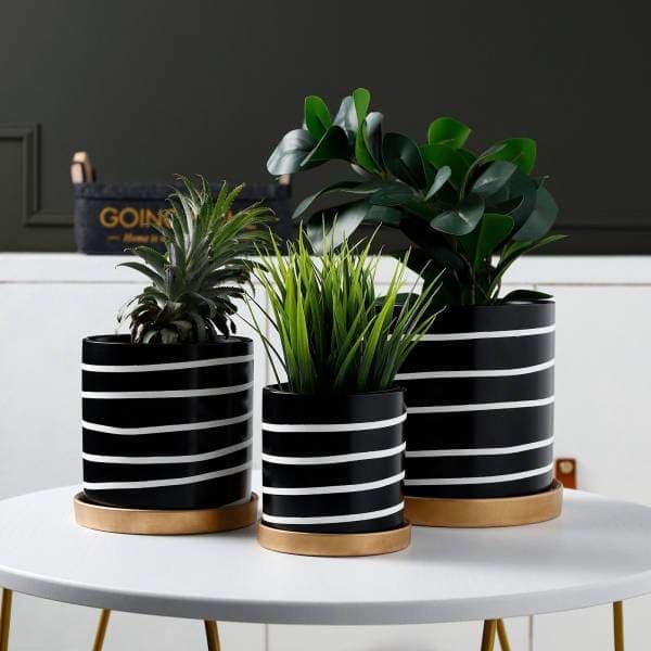 Vaso Per Piante Zibra In Bianco E Nero