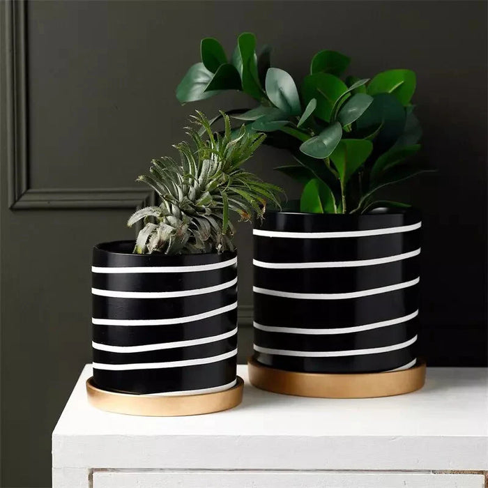Vaso Per Piante Zibra In Bianco E Nero