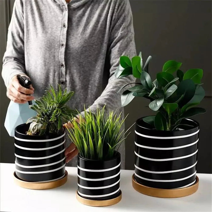 Vaso Per Piante Zibra In Bianco E Nero