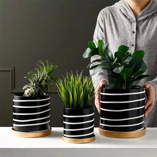 Vaso Per Piante Zibra In Bianco E Nero