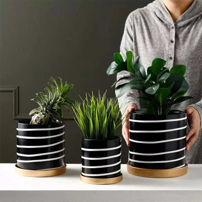 Vaso Per Piante Zibra In Bianco E Nero