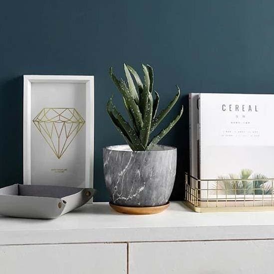 Vaso Per Piante Pyer