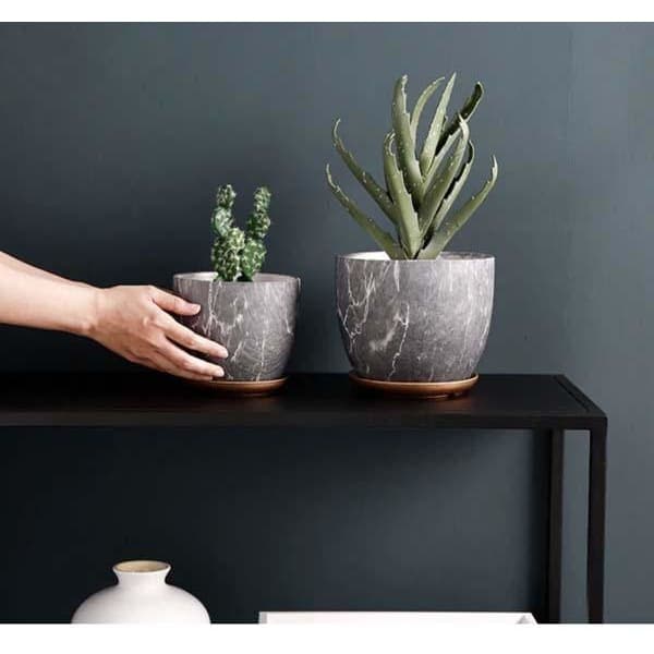 Vaso Per Piante Pyer