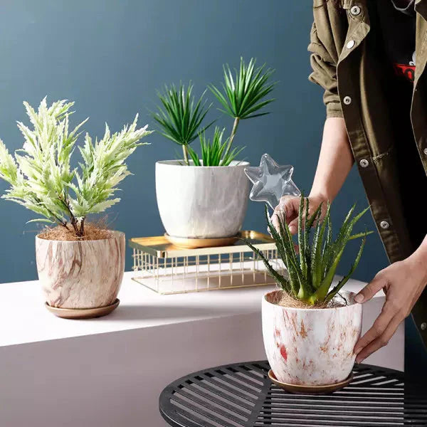 Vaso Per Piante Pyer