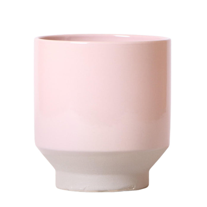 Vaso Per Piante Rosa - Ø12Cm
