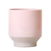 Vaso Per Piante Rosa - Ø12Cm